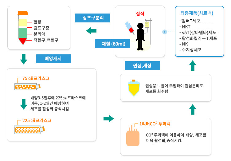 세포배양에서 점적까지